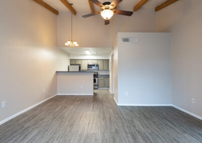 Lion Tempe - 750 square feet - 1 Bed 1 Bath - Living Room and Kitchen