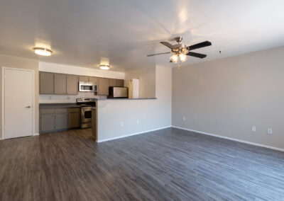 Lion Tempe - 900 square feet - 2 Bed 1 Bath - Living Room and Kitchen