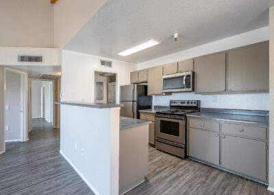 Lion Tempe - 950 square feet - 2 Bed 1 Bath - Kitchen and Hall