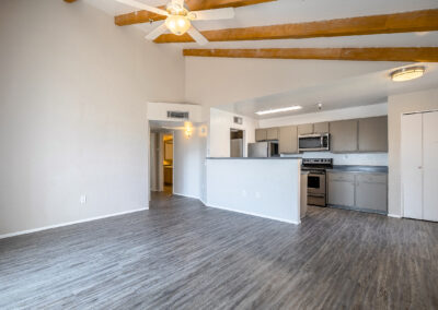 Lion Tempe - 950 square feet - 2 Bed 1 Bath - Living Room and Kitchen
